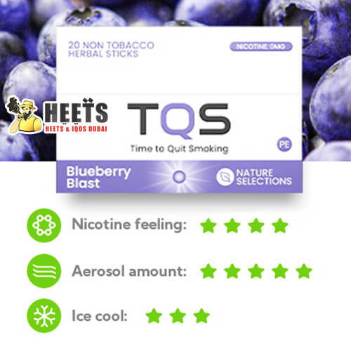 Blue berry blast - TQS Flavor Herbal Sticks